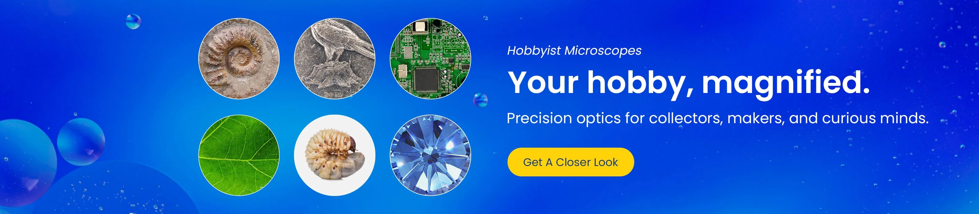 Master Every Detail with AmScope