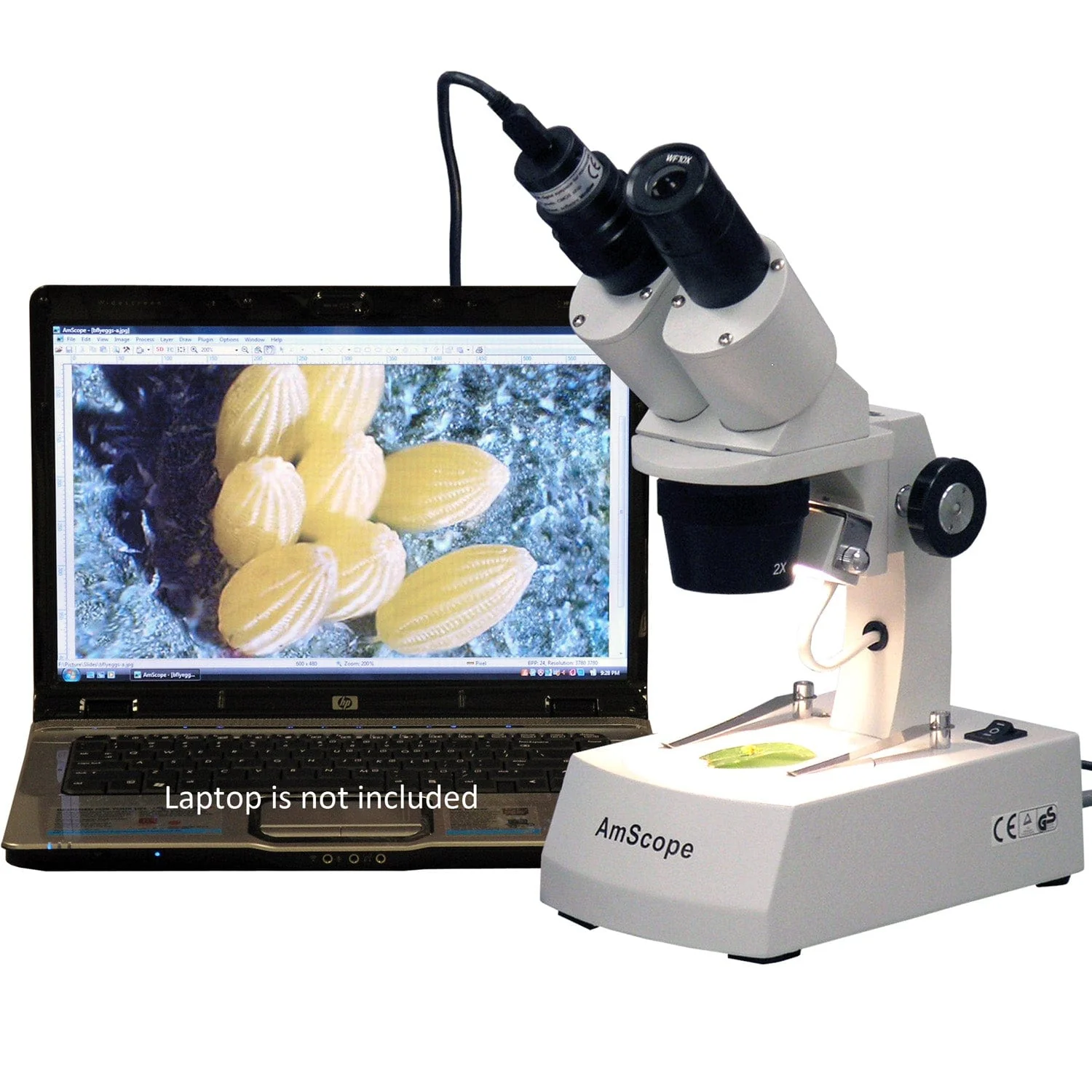 Product image 5